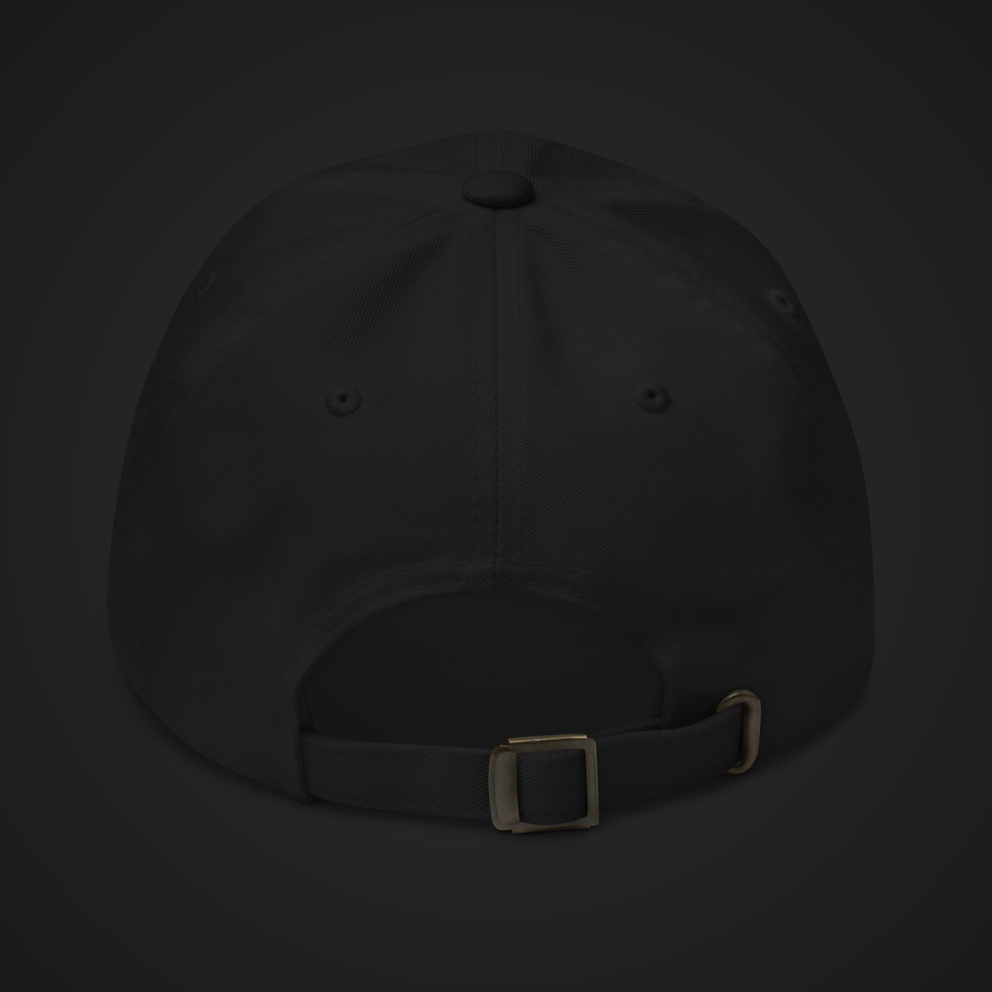 R3ST 3D | HAT-3